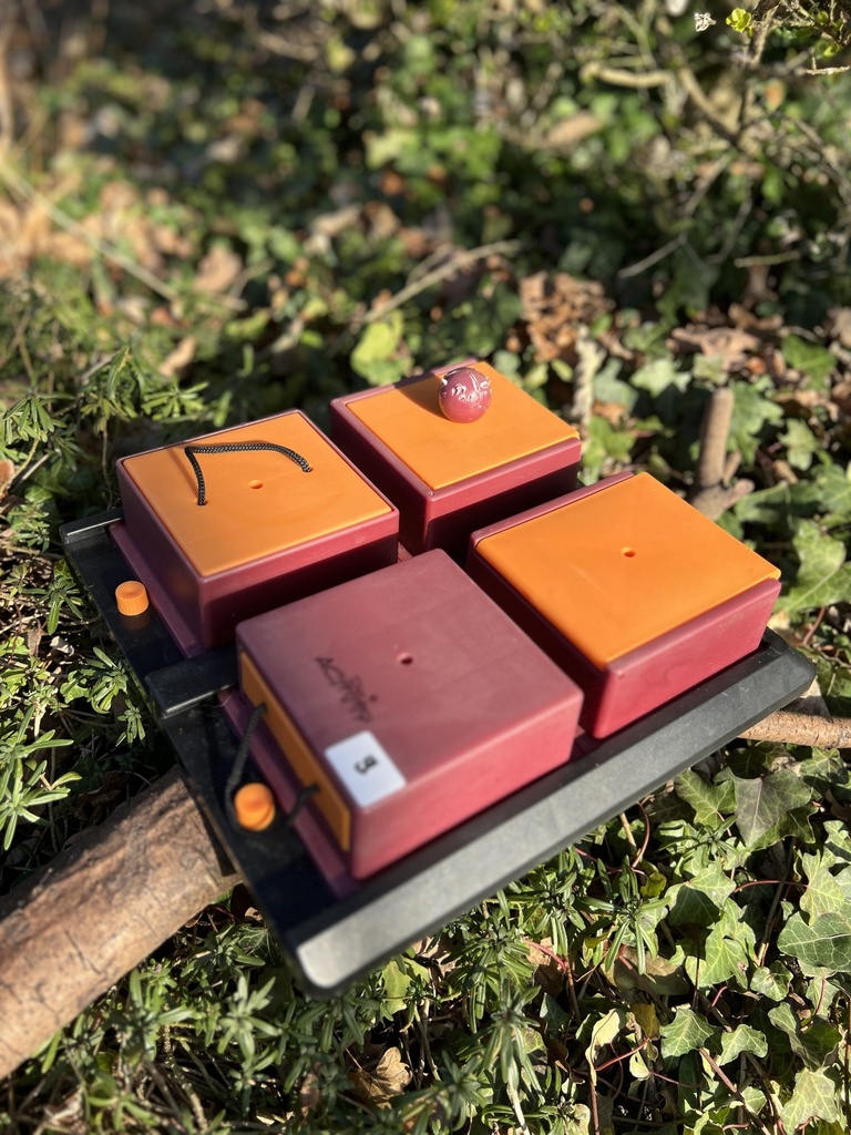 [pokerbox1] Trixie Poker box 1