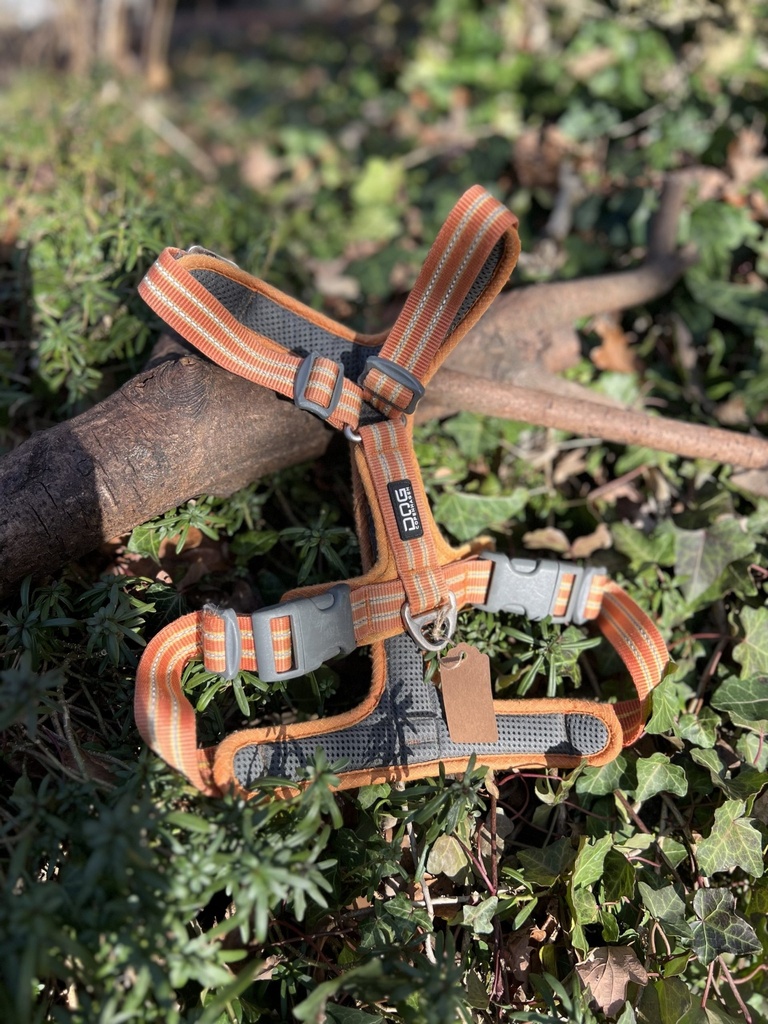 [harnaisdogcop] Dog Copenhaguen M Walk air