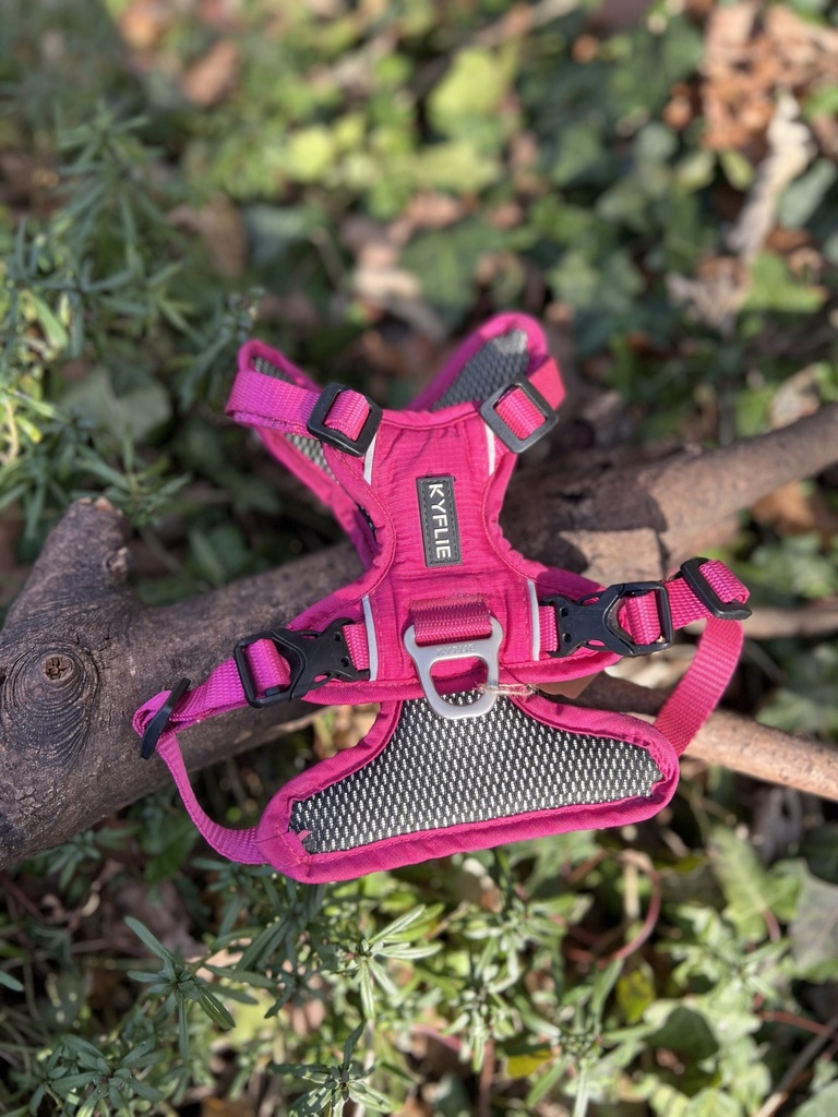 [kyflieroseXS] Kyflie Momentum rose XS