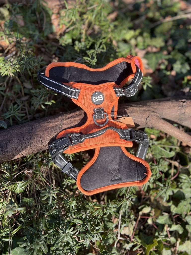[harnaisbobbyorange] Harnais Bobby orange S