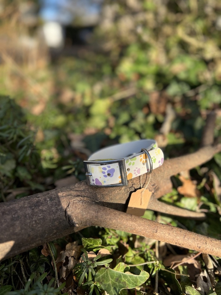 Collier Biothane patte de chien 30- 40cm