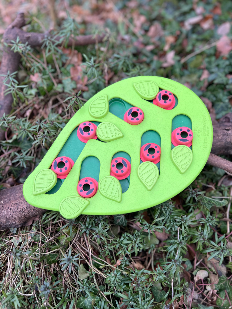 [71TS] Bugin Out Nina Ottosson