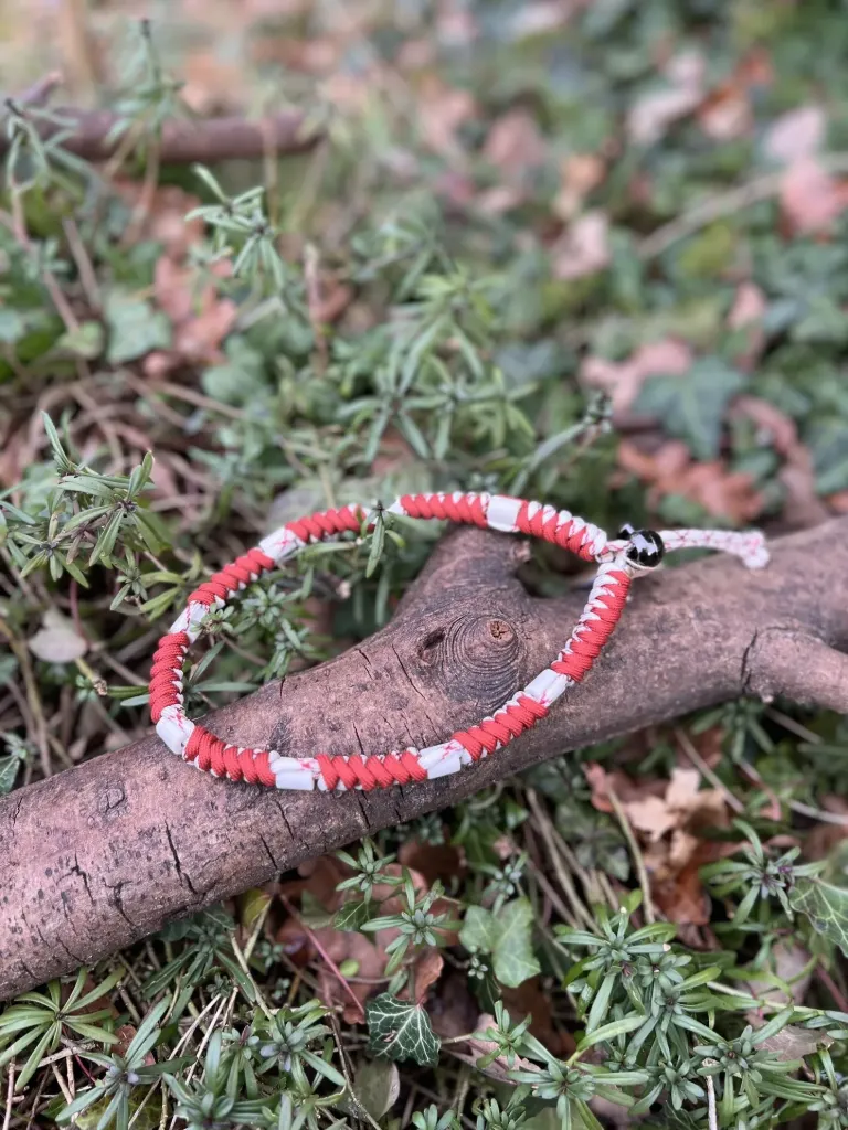 [66TS.5] Collier anti-tique 40cm