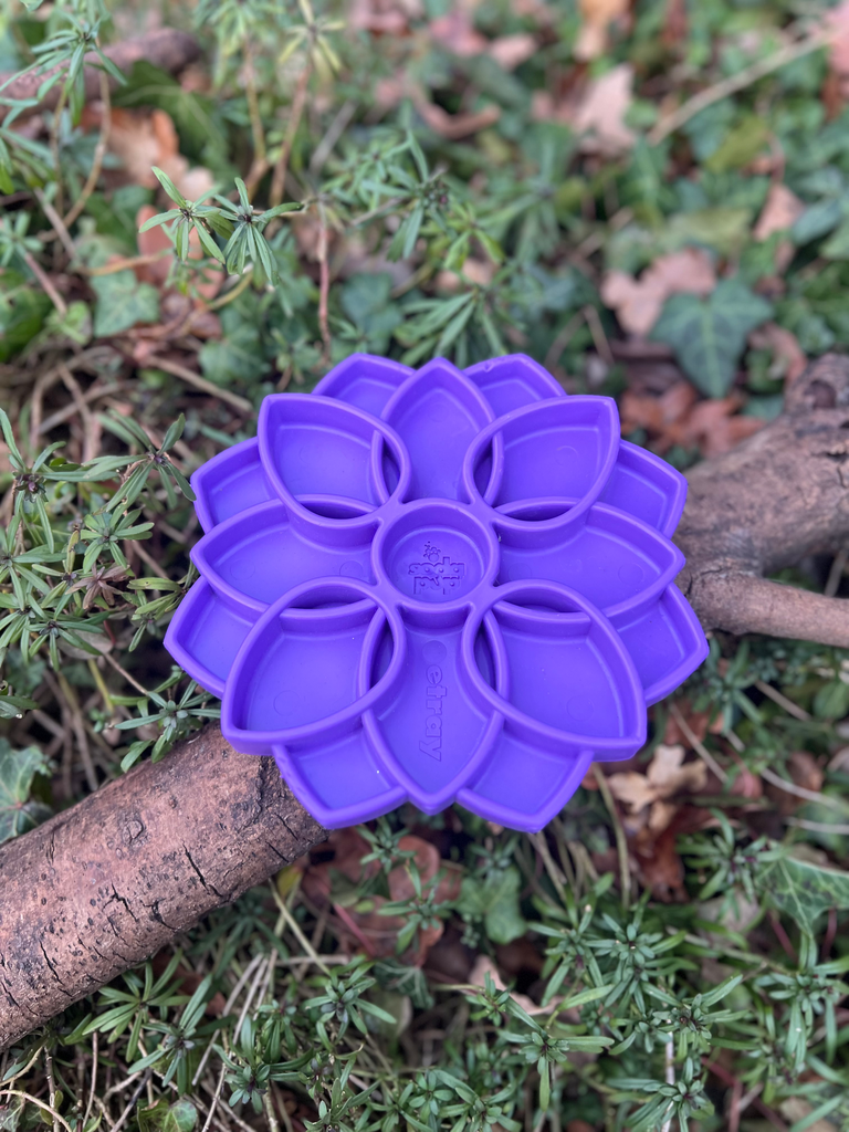 [2047ts.1] Gamelle / Tapis de léchage SodaPup