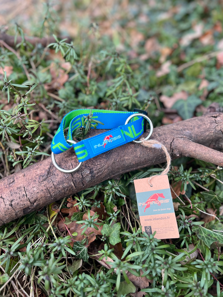 Collier Inlandsis 25 - 45 cm