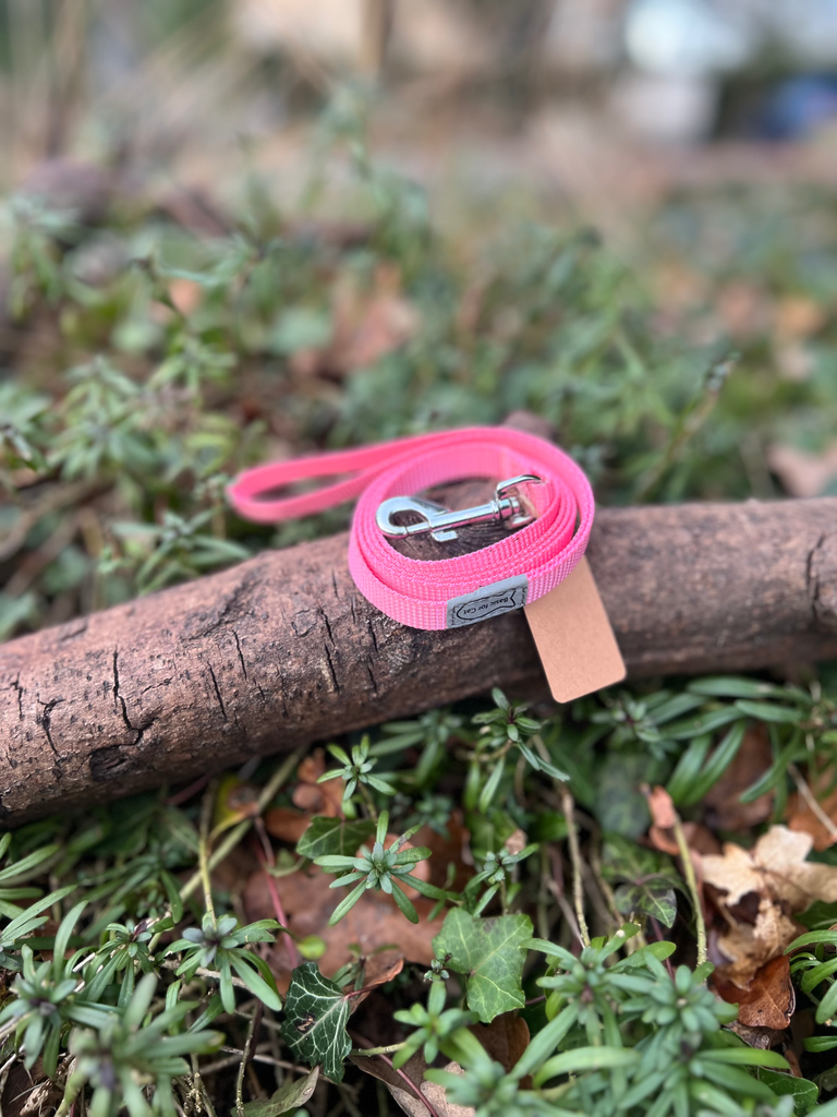 Laisse rose 120cm