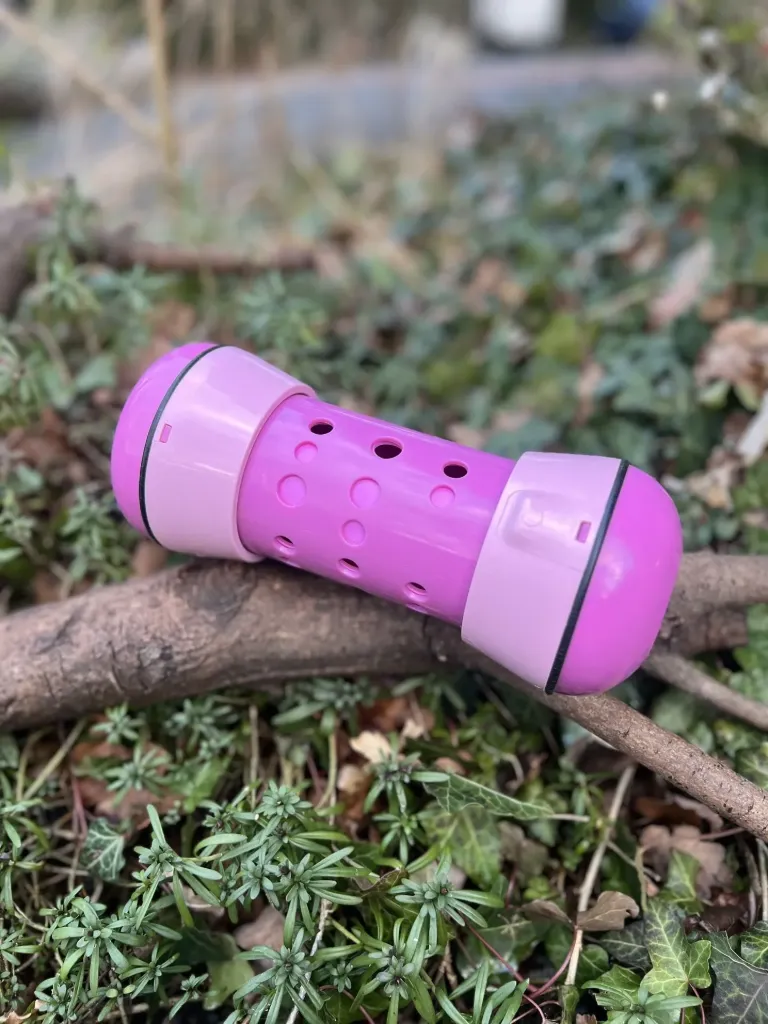 [Pipolinorose] Pipolino rose