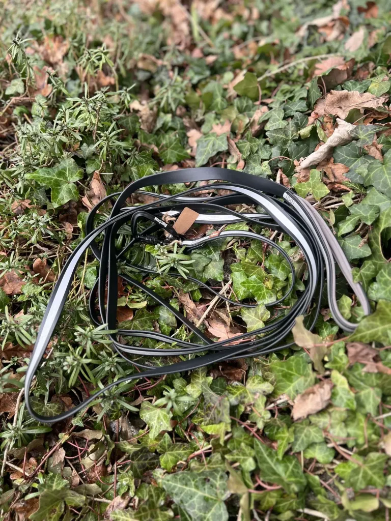 [9015.1] longe dogs creek 5m