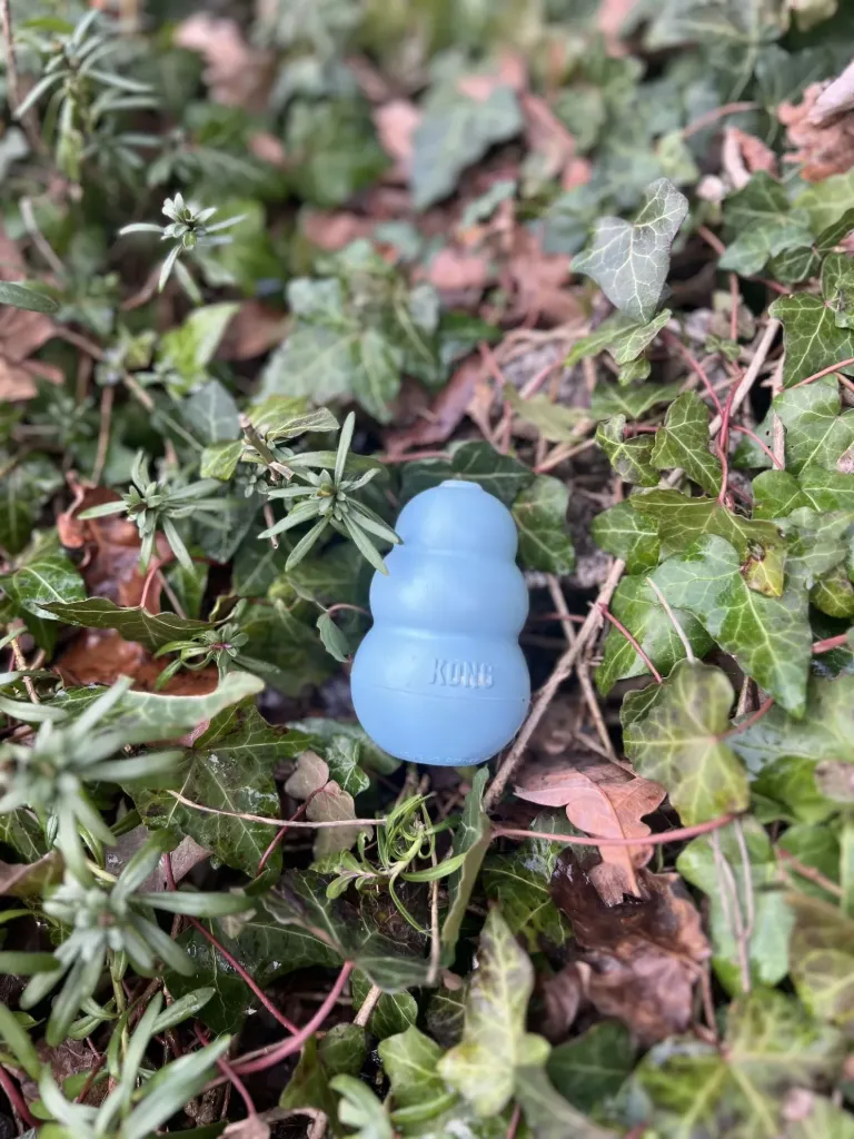 [9015.4] kong puppy bleu M