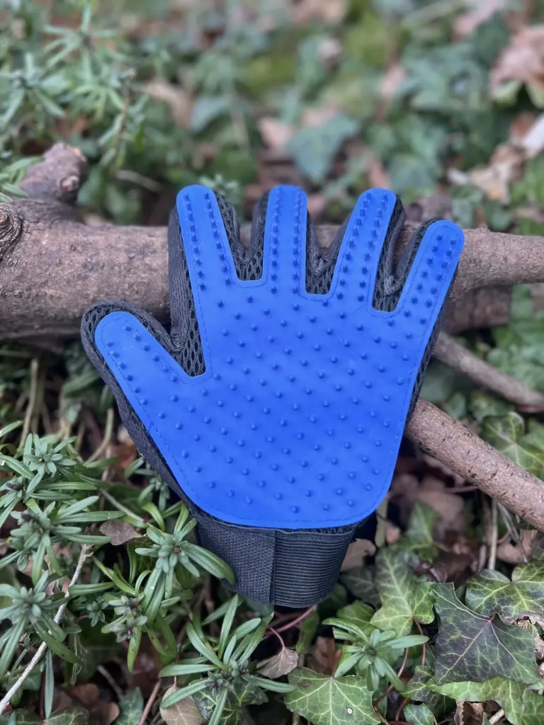 [SPsans] gant brosse