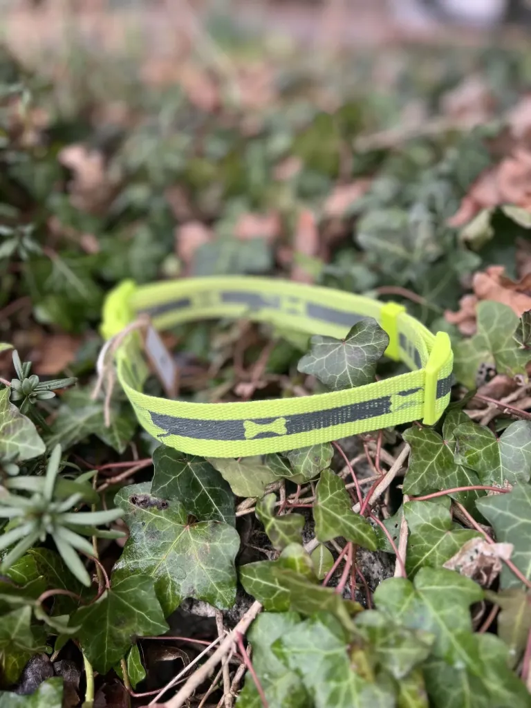 collier jaune 36 - 60cm