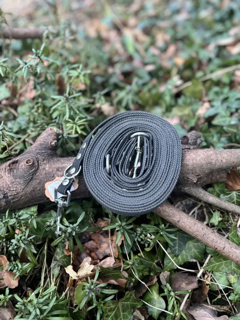 Longe mutli-position noire 4,85m