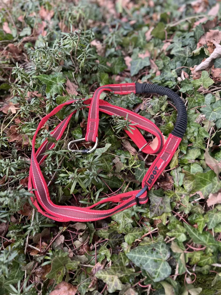 [SP36] Longe de traction Moov 4 Fun