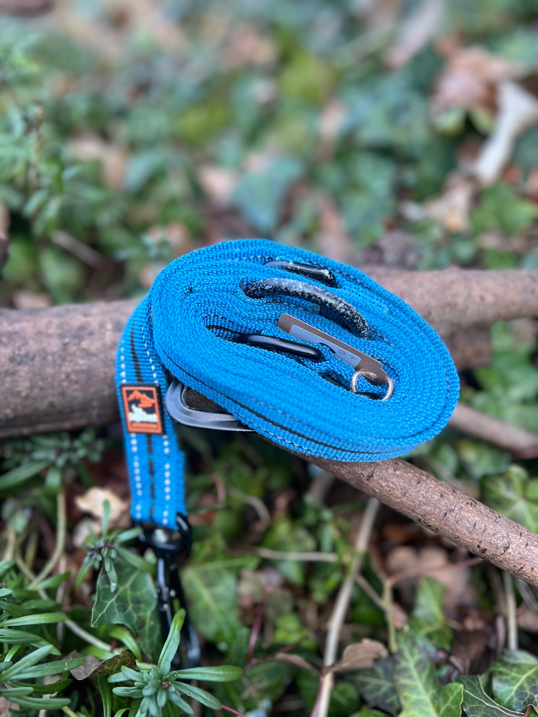 [4019TS.5] Laisse 3 points DogsCreek 1,95m