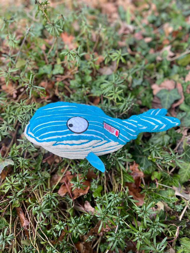 [claboom] peluche kong baleine
