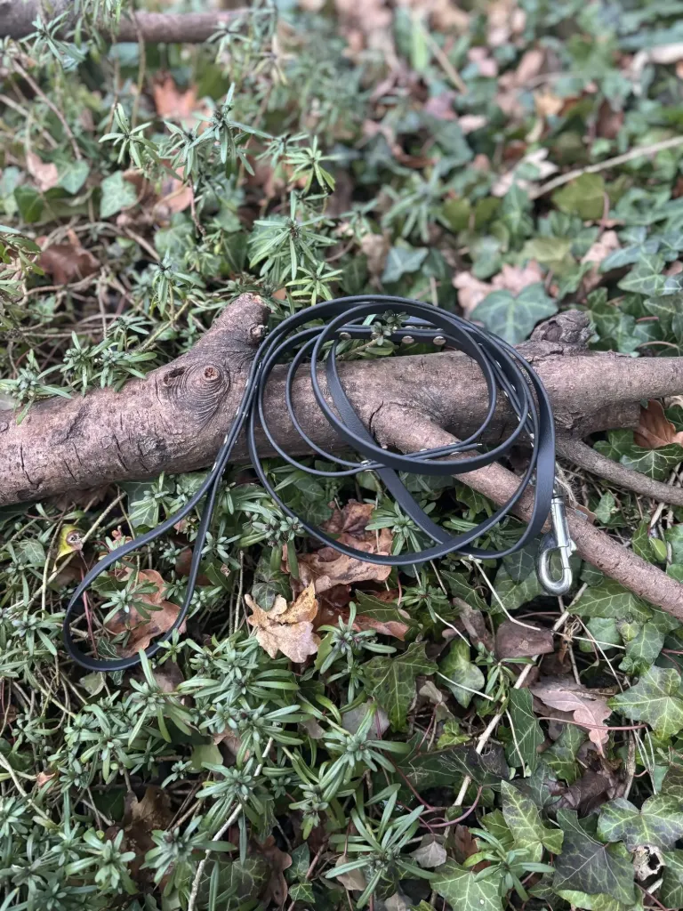 [sp2] Laisse biothane noir 2m20