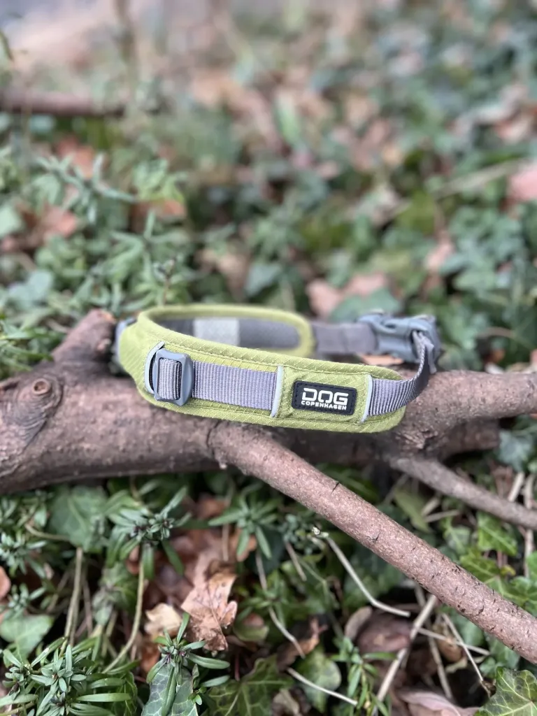 [Sp360] Collier Dog Copenhagen 34 - 42 cm