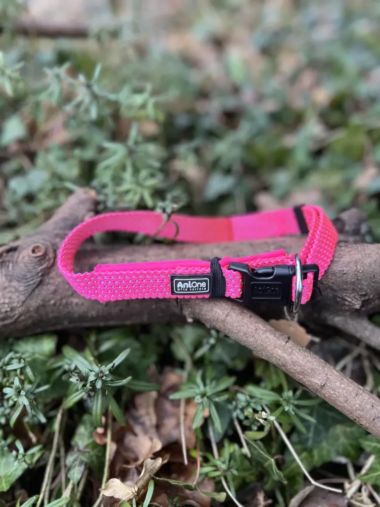 [SP9] Collier 37 - 56 cm