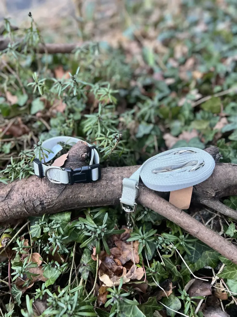 [2302] Ensemble avec laisse 3 points