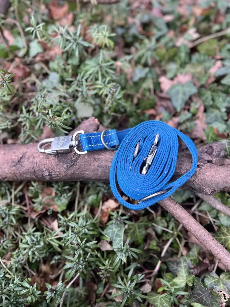 [2190.sp15] Laisse 3 points Ultra résistante More