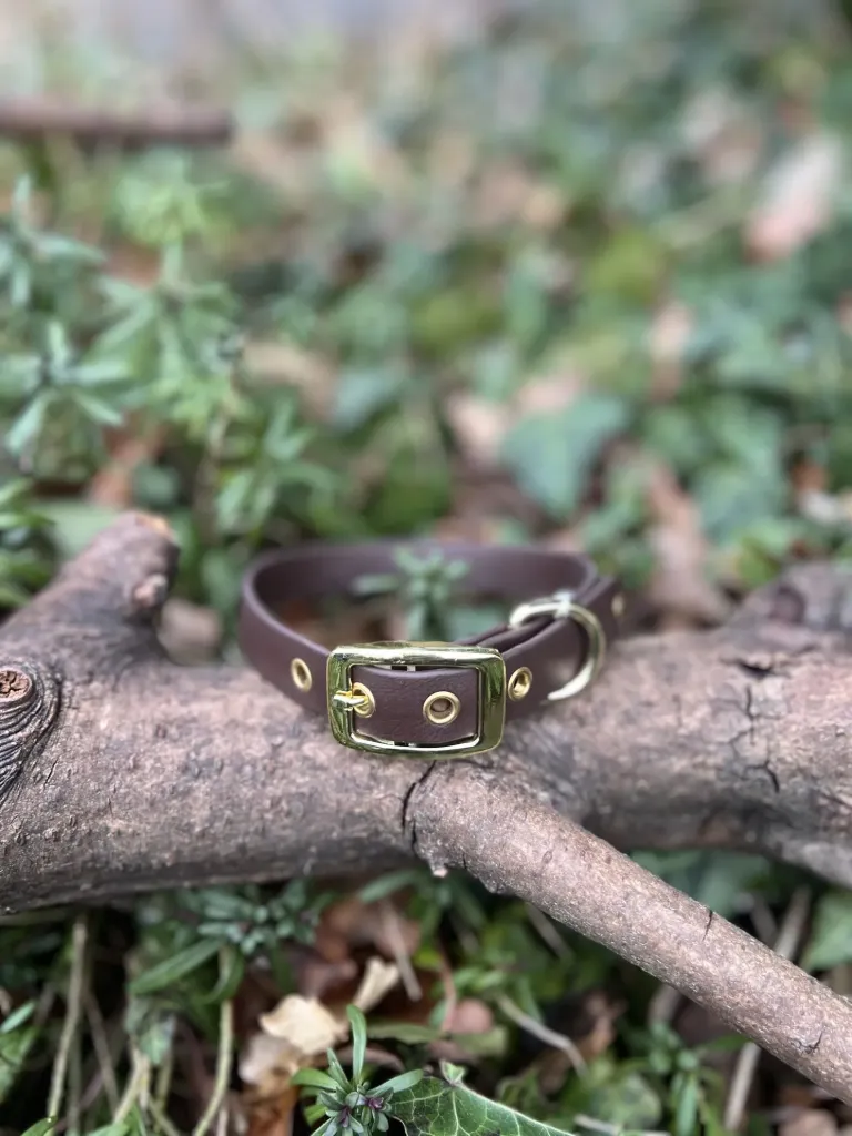 [2336] Collier Biothane 33 - 39 cm