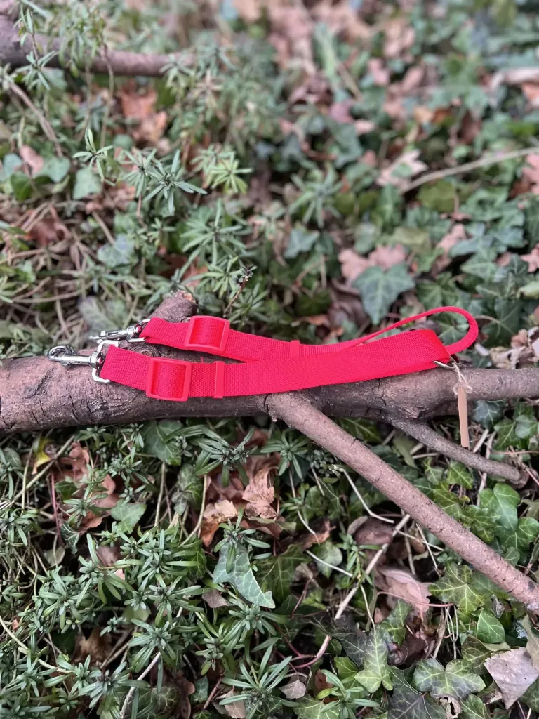 [sp16] Séparateur / doubleur de laisse