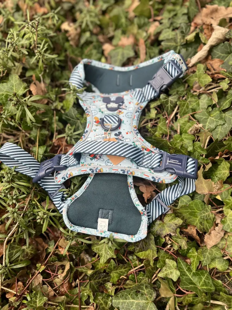 [SP20] Harnais Mickey PawStory L