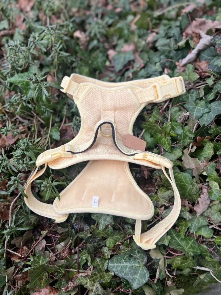 [SP22] Harnais Peachy Dogs. L