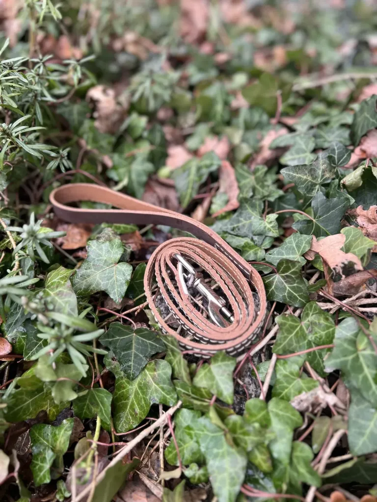 [2190.lcmsp] Laisse cuir marron 114cm