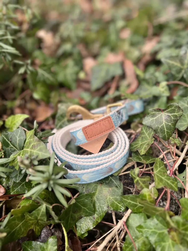 [2262] Laisse LMAO 118cm