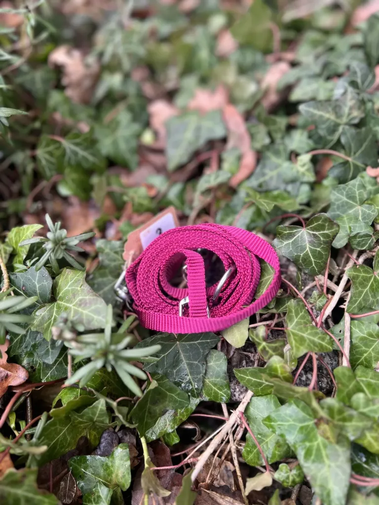 [2190.anione3pt] Laisse 3 points AniOne fine