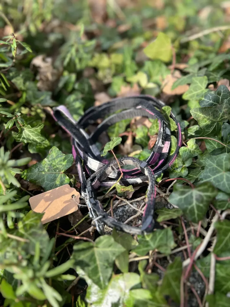 [sp26] Ensemble 21 - 28 cm wouappy