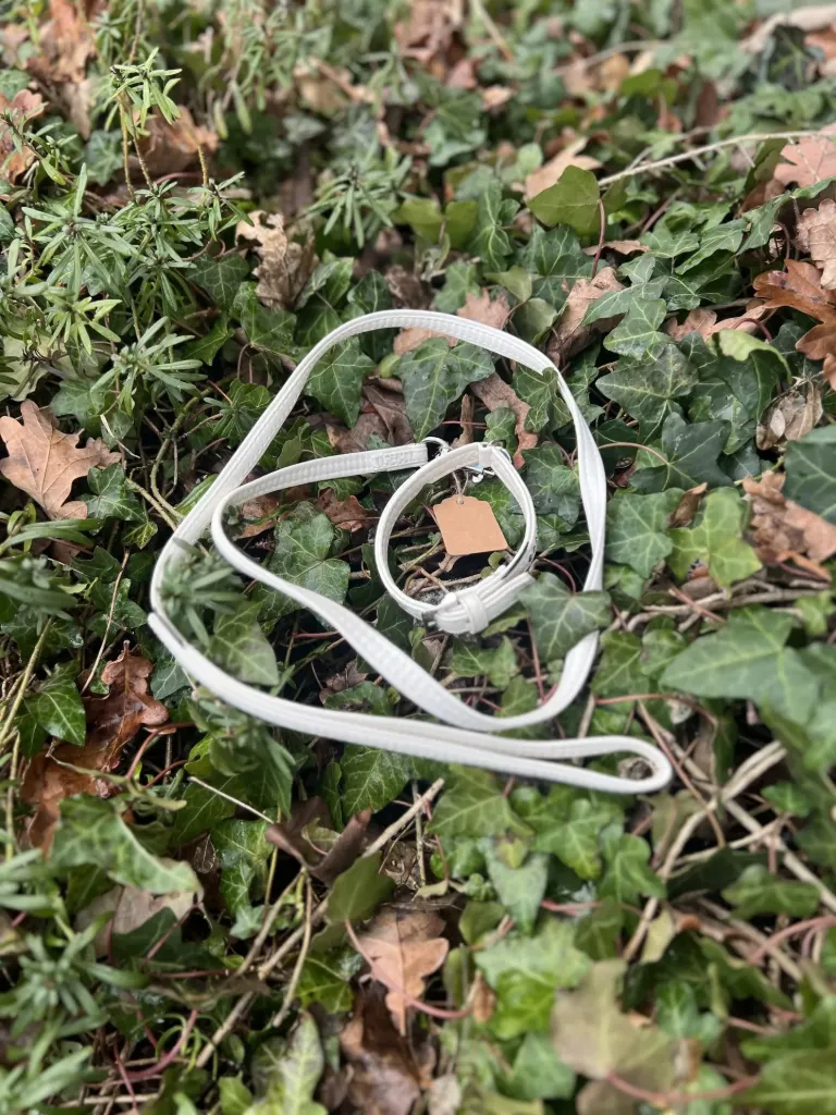 [sp27] Ensemble 23 - 28 cm Karlie