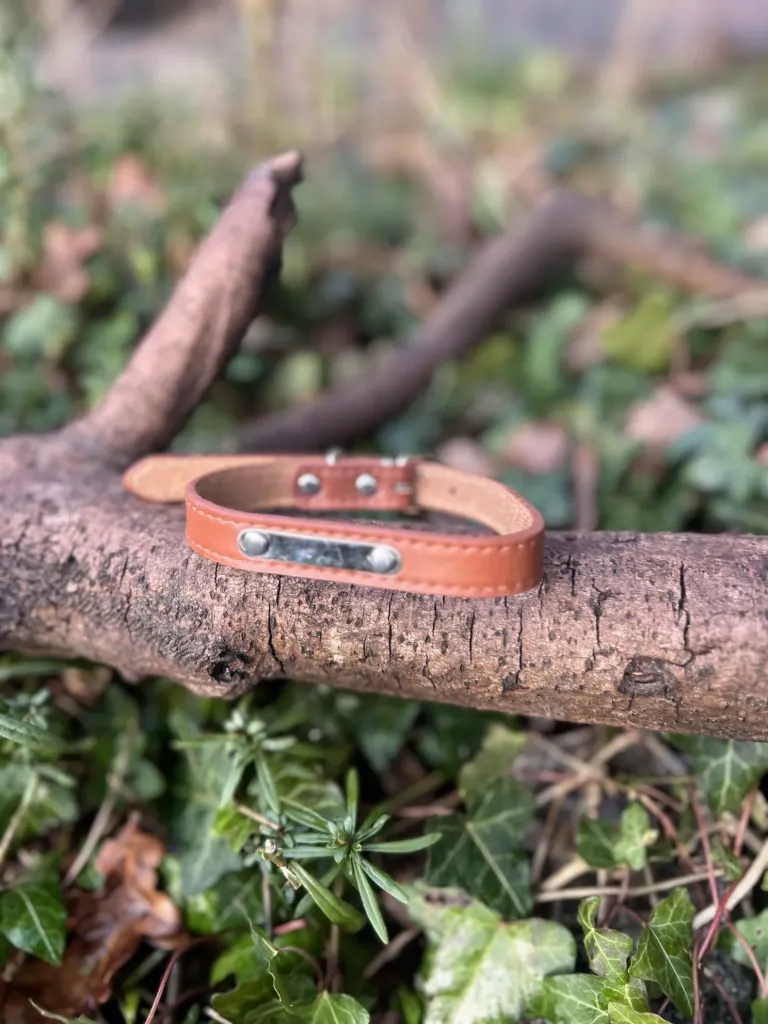 Collier cuir 28 - 36cm avec plaque de gravure pour prénom