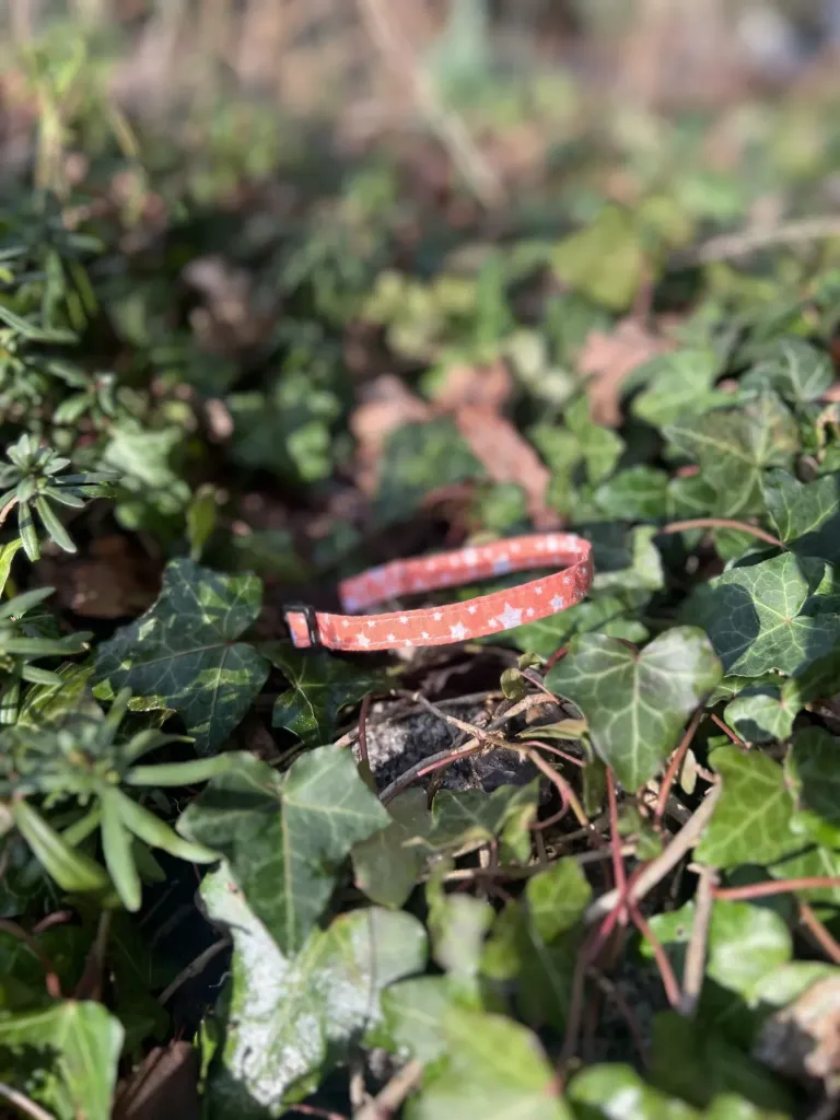 Collier tissu 21 - 28cm étoiles