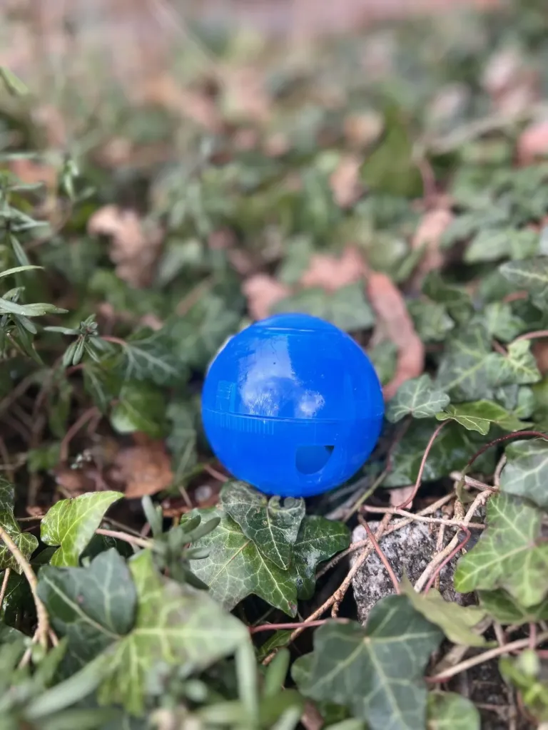 [0716ts.3] Distributeur de friandises