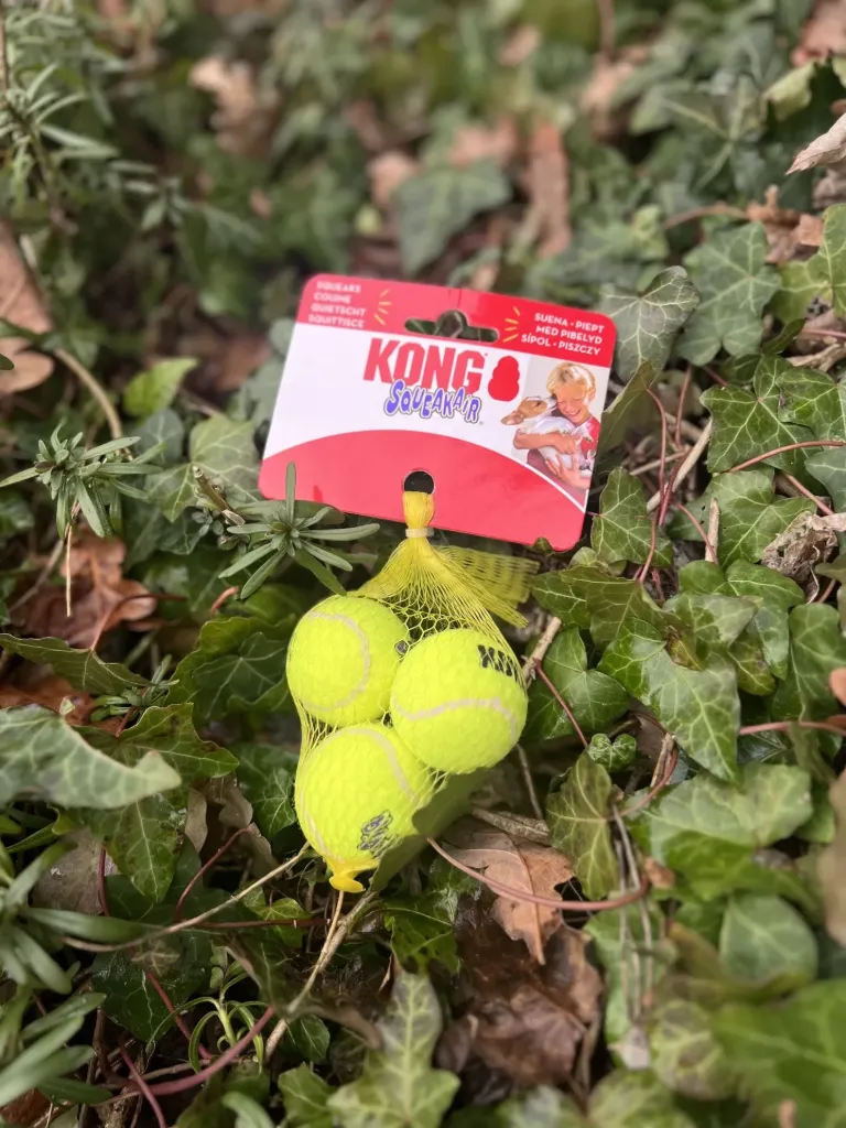 [kong.11] Balle Kongs S