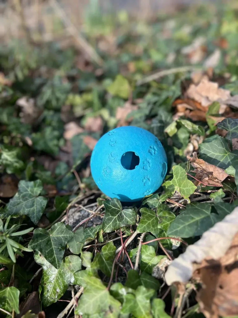 [9015.6] Balle distributrice de friandises M/L