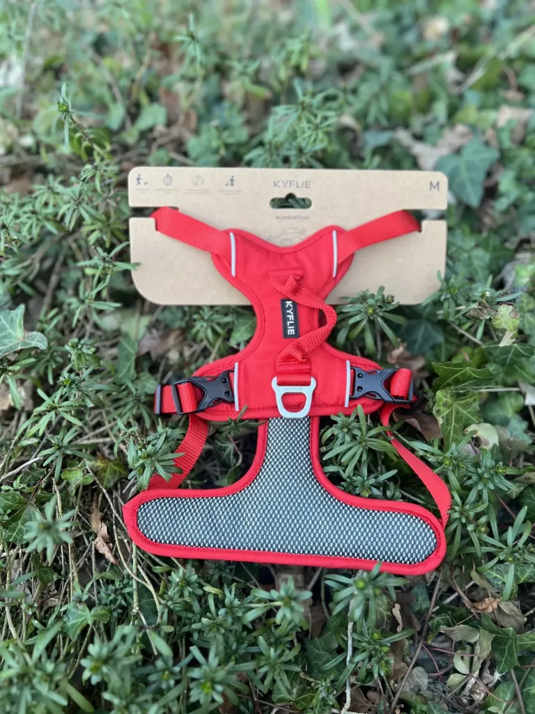 [8798ts.1] Kyflie Momentum rouge M