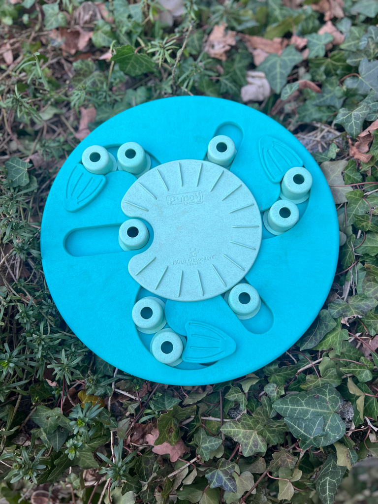 [0315.1] Dog Worker Nina Ottossons