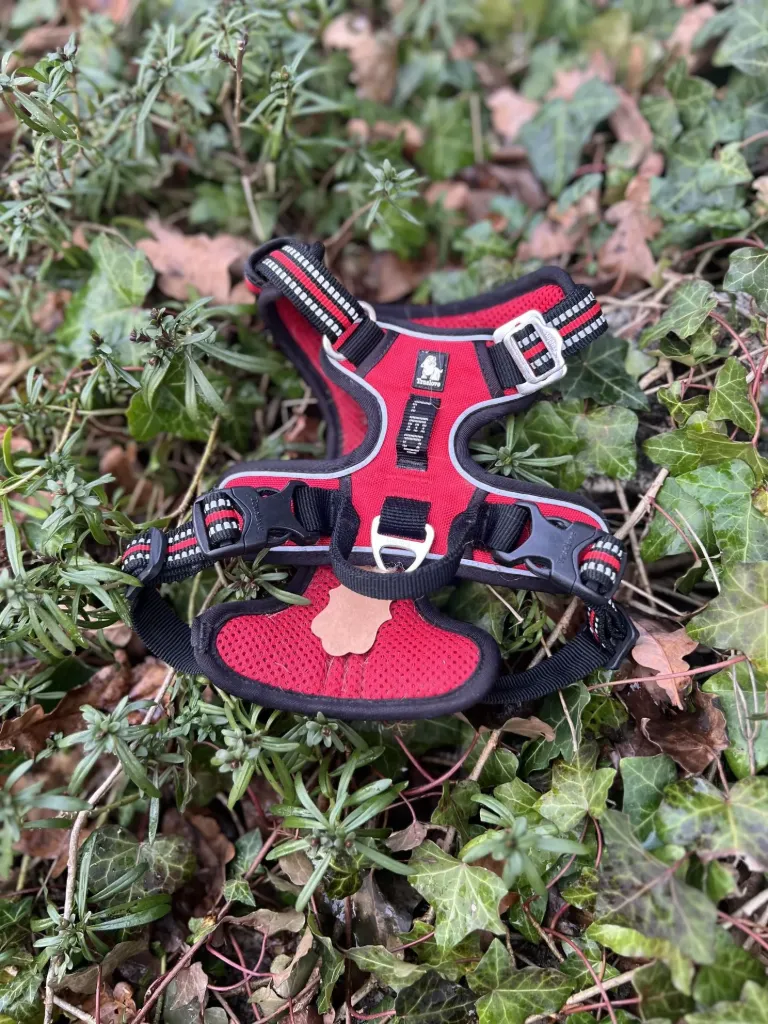 [SP31] Harnais True Love S rouge