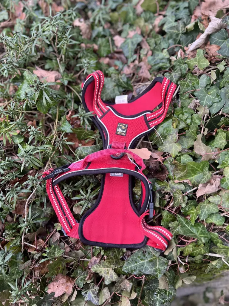 [Sp32] Harnais dogs creek L Rouge