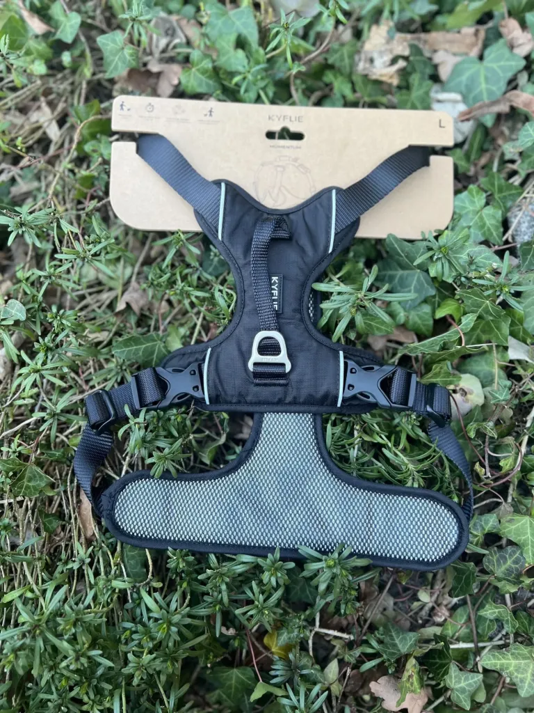 [9443ts.3] Kyflie Momentum noir L