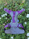 Harnais Kurgo Journey XL (36-50kg)