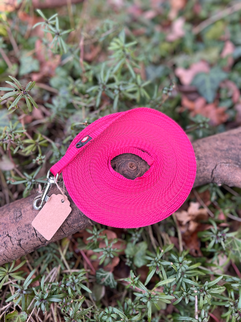 [8207.4] Longe rose 10m trixie