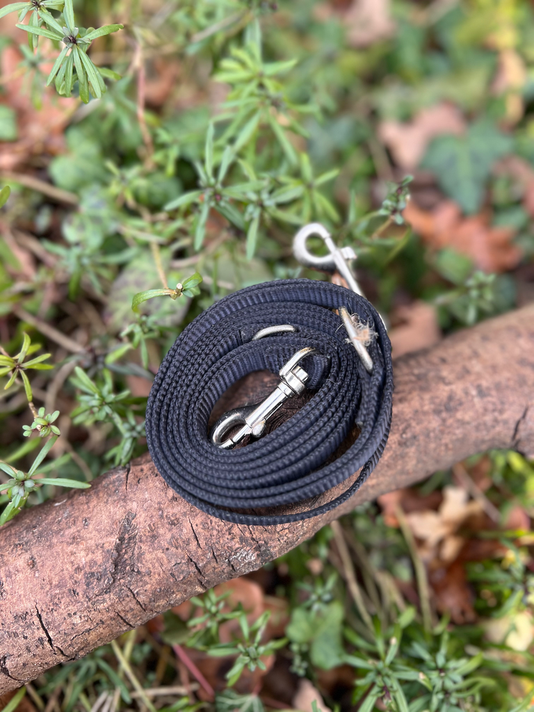 [8207.8] laisse trois points noire