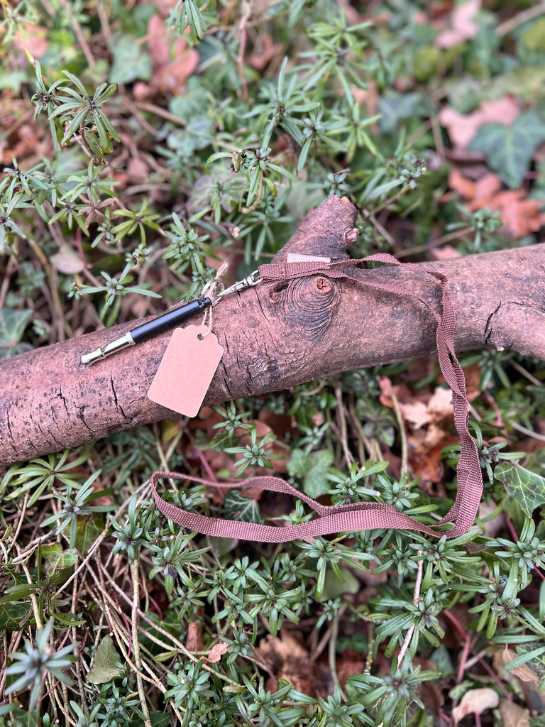 [8207.11] Sifflet de rappel